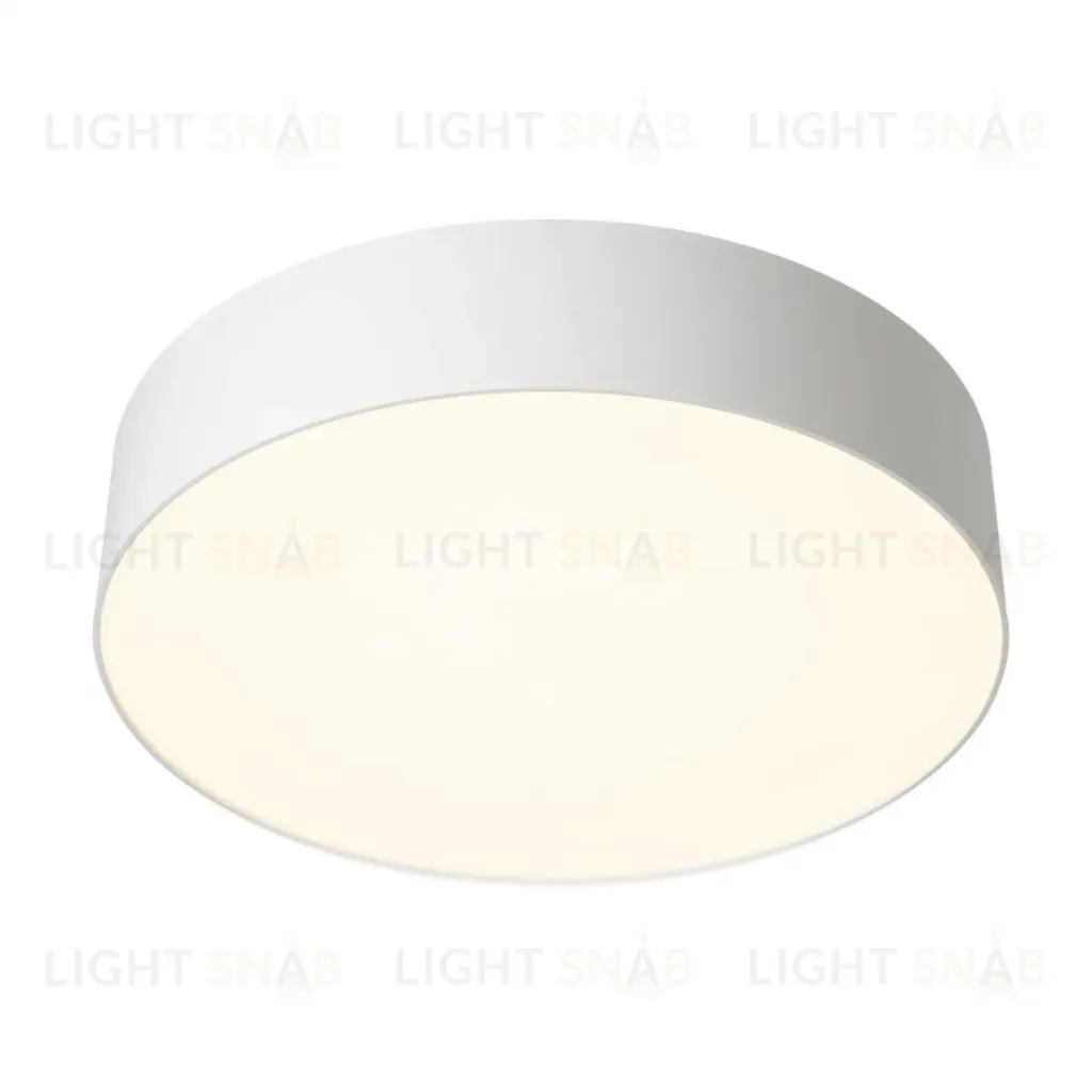 Потолочный светильник Citilux Bart CL755290 CL755290