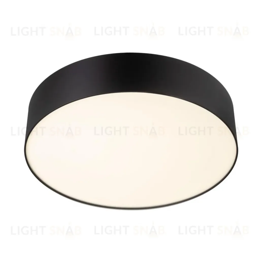 Потолочный светильник Citilux Bart CL755291 CL755291
