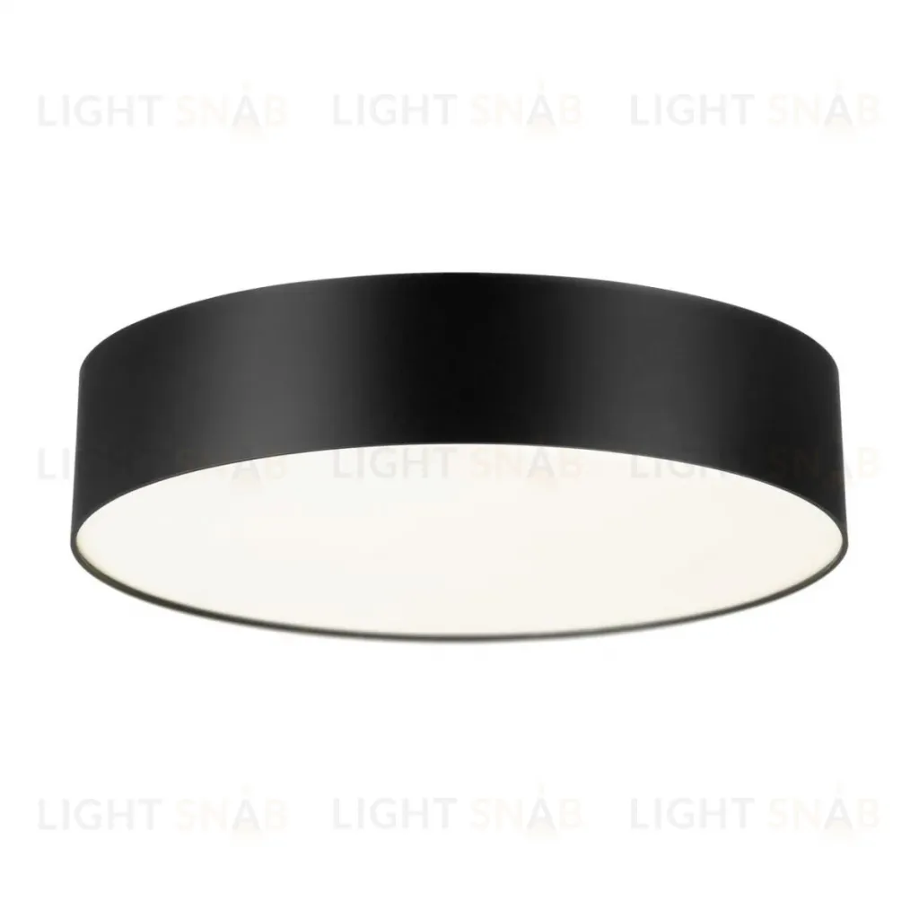 Потолочный светильник Citilux Bart CL755291 CL755291