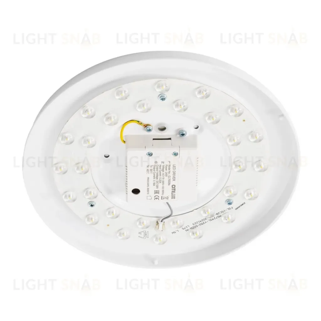 Потолочный светильник Citilux Bart CL755291 CL755291