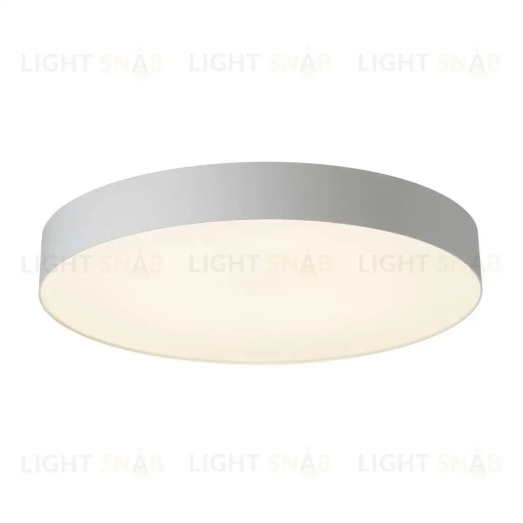 Потолочный светильник Citilux Bart CL755490 CL755490