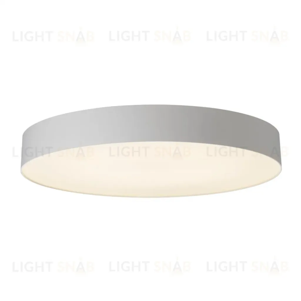 Потолочный светильник Citilux Bart CL755490 CL755490