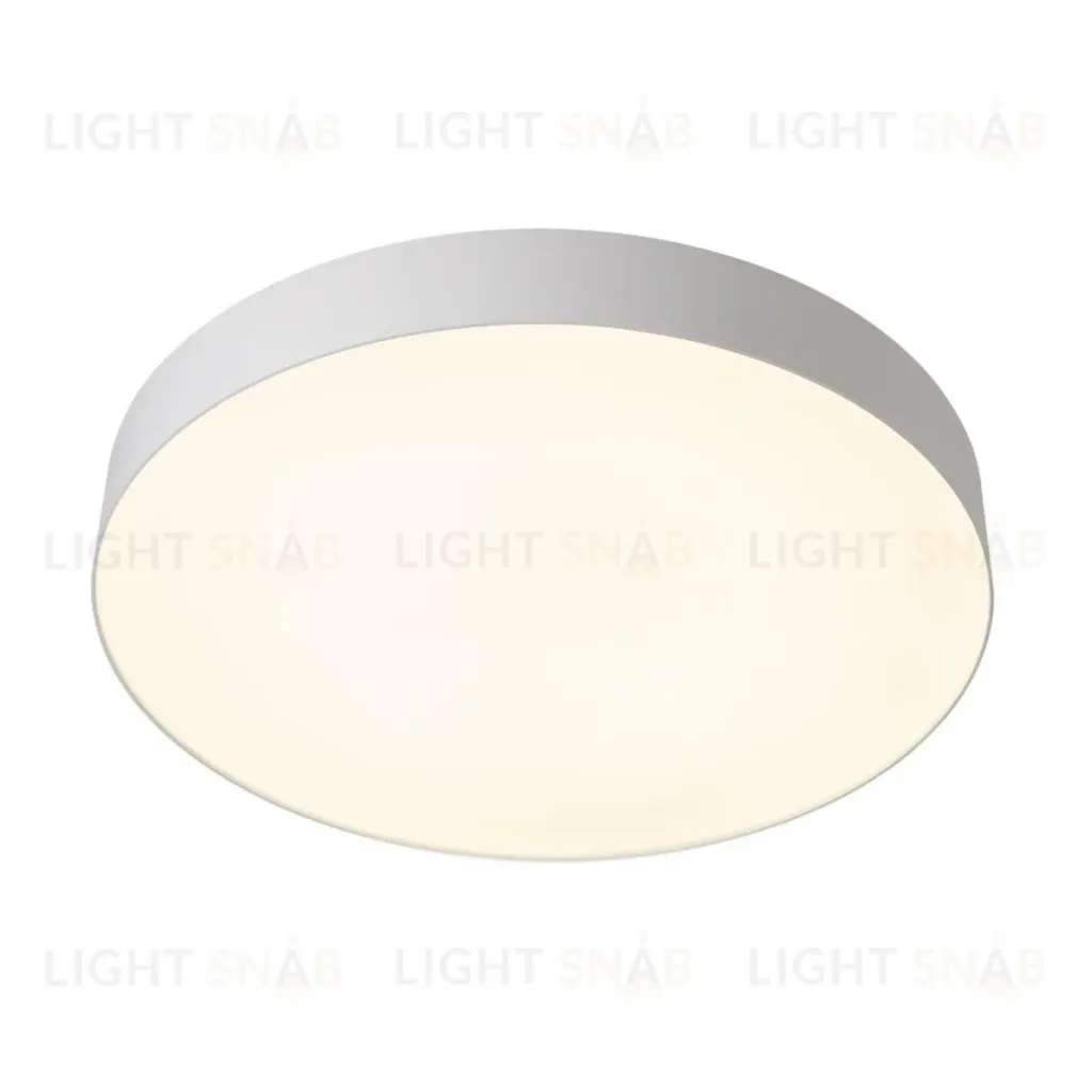 Потолочный светильник Citilux Bart CL755490 CL755490