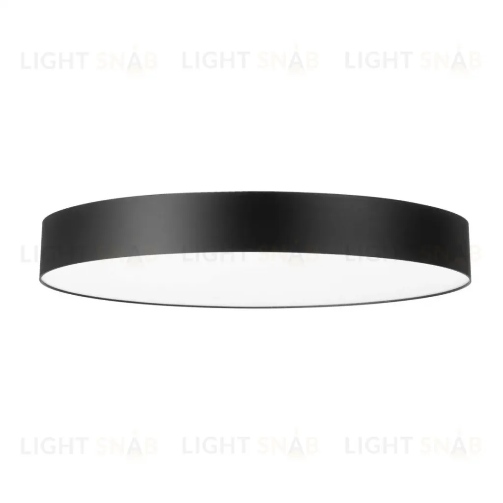Потолочный светильник Citilux Bart CL755491 CL755491