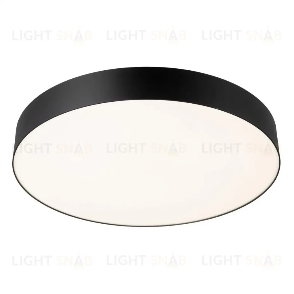 Потолочный светильник Citilux Bart CL755491 CL755491