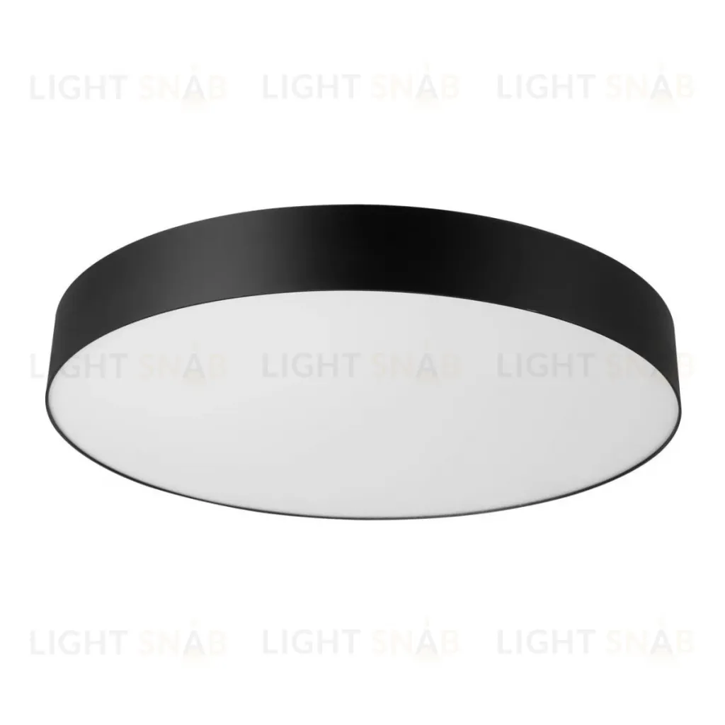 Потолочный светильник Citilux Bart CL755491 CL755491