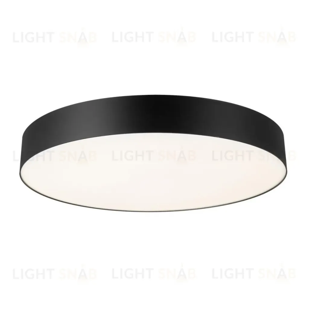Потолочный светильник Citilux Bart CL755491 CL755491