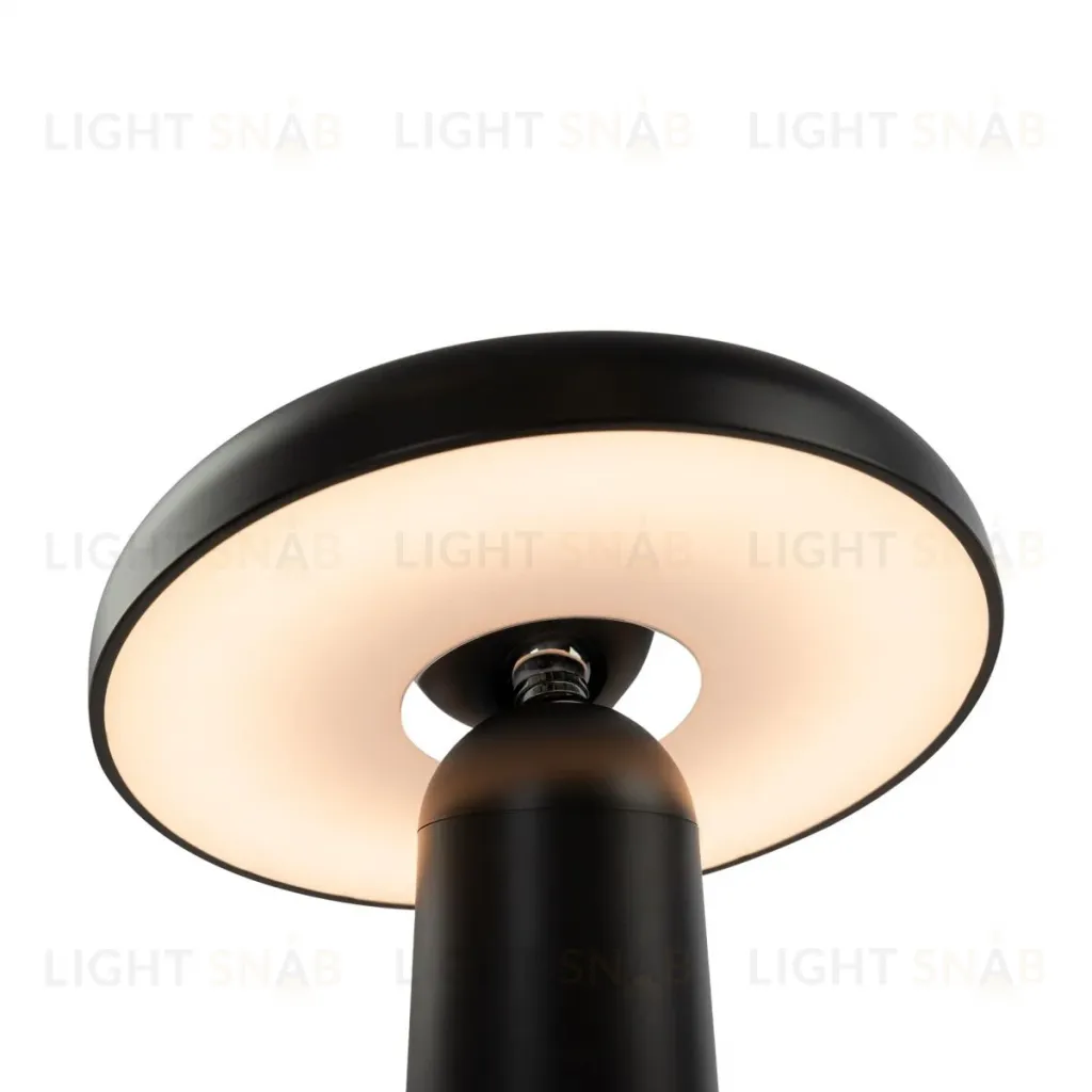 Настольная аккумуляторная лампа Freya Mushroom FR6109TL-L4B FR6109TL-L4B