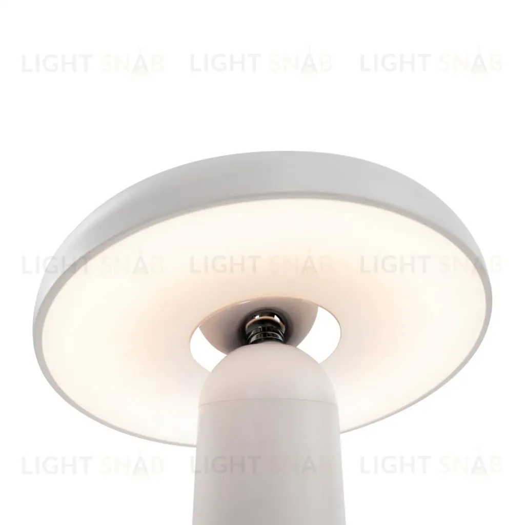 Настольная аккумуляторная лампа Freya Mushroom FR6109TL-L4W FR6109TL-L4W