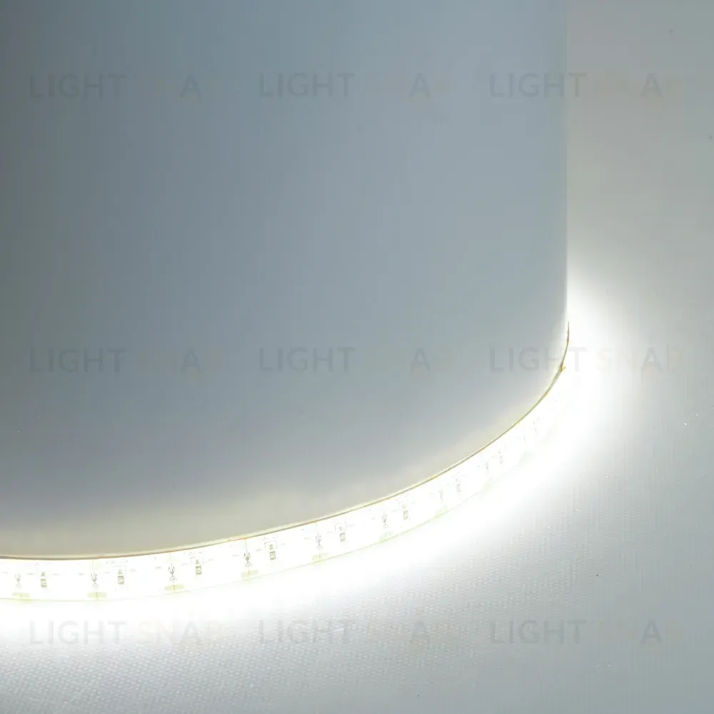 Светодиодная лента Feron LS626 12В 2835 17Вт/м 6500К 5м IP65 51640 51640
