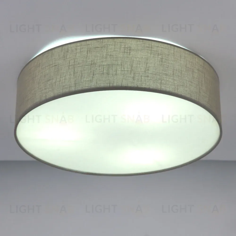 Потолочный светильник LightHall Turdan 50 LH022031 LH022031