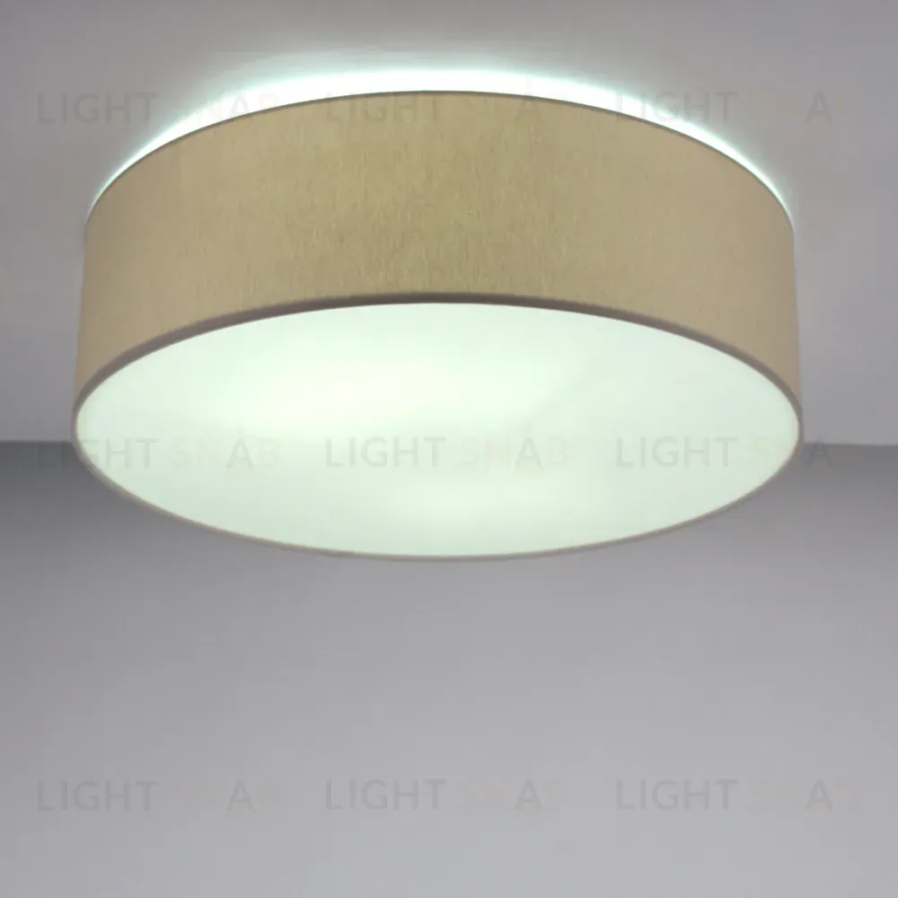 Потолочный светильник LightHall Camerona 65 LH022006 LH022006