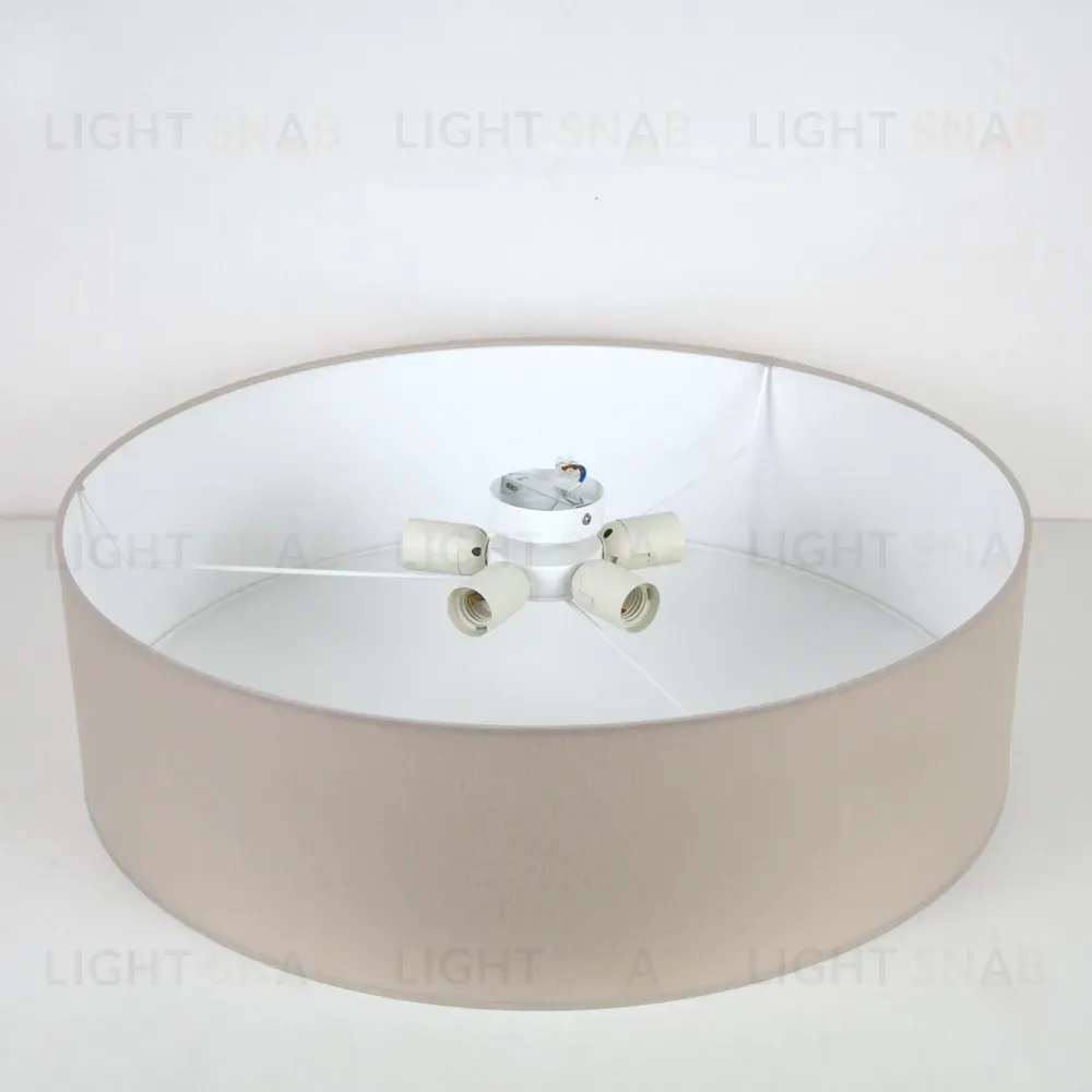 Потолочный светильник LightHall Camerona 65 LH022006 LH022006