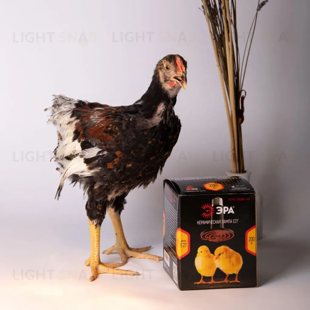 Инфракрасная лампа для брудера, рептилий Эра CeramiHeat FITO-100W-НQ Б0052715 Б0052715