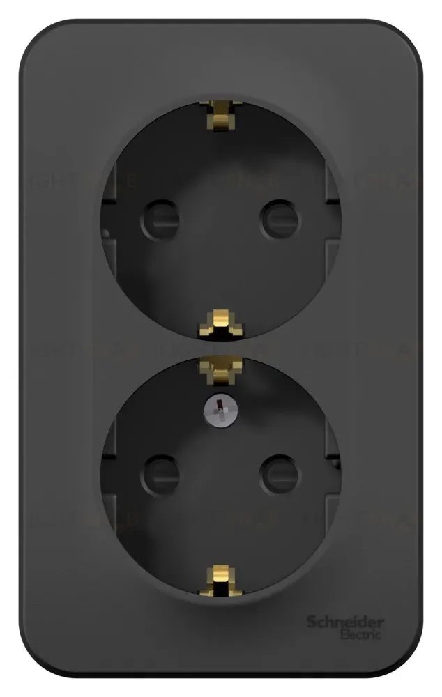 Розетка 2-ая с/з со шторками 16А,250В, изолир. пластина Systeme Electric Blanca наруж Антрацит BLNRA011216 BLNRA011216