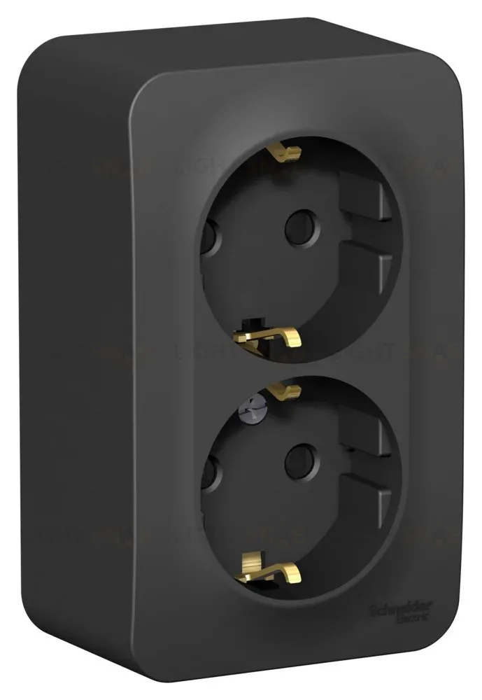 Розетка 2-ая с/з со шторками 16А,250В, изолир. пластина Systeme Electric Blanca наруж Антрацит BLNRA011216 BLNRA011216