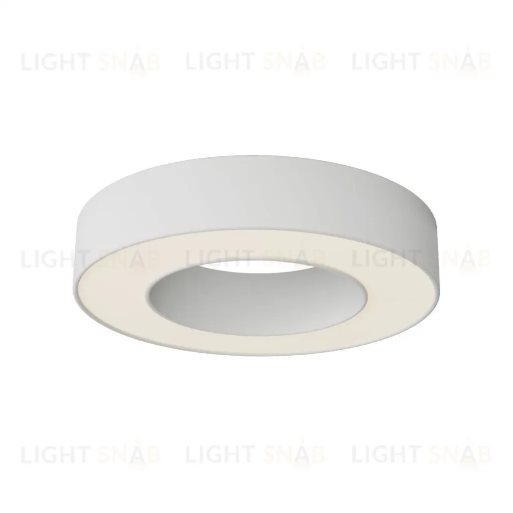 Потолочный светильник Maytoni Technical Lua C093CL-24W3K-W C093CL-24W3K-W