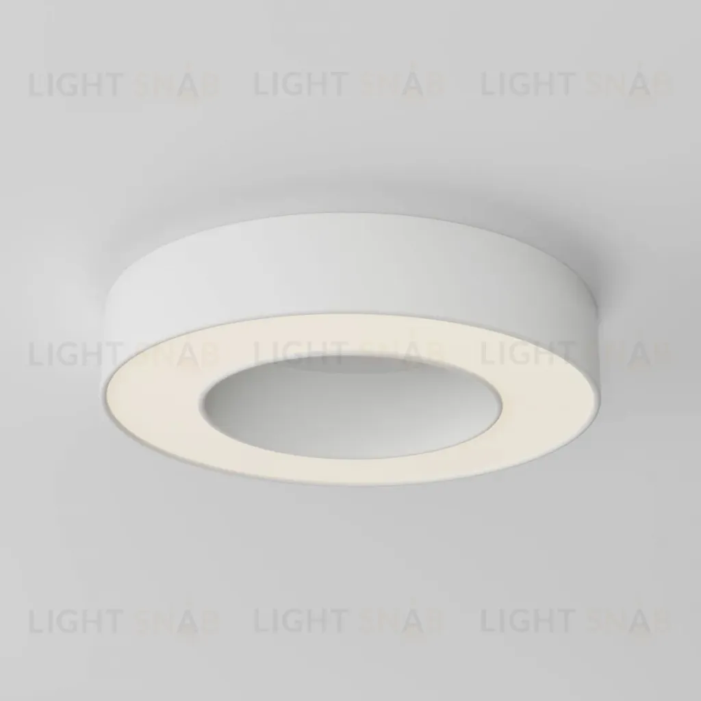 Потолочный светильник Maytoni Technical Lua C093CL-24W3K-W C093CL-24W3K-W