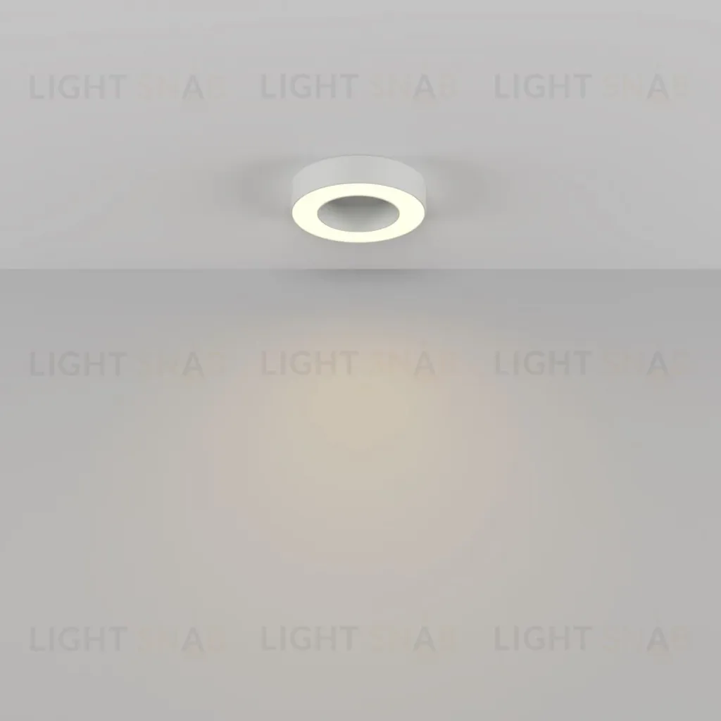 Потолочный светильник Maytoni Technical Lua C093CL-24W3K-W C093CL-24W3K-W