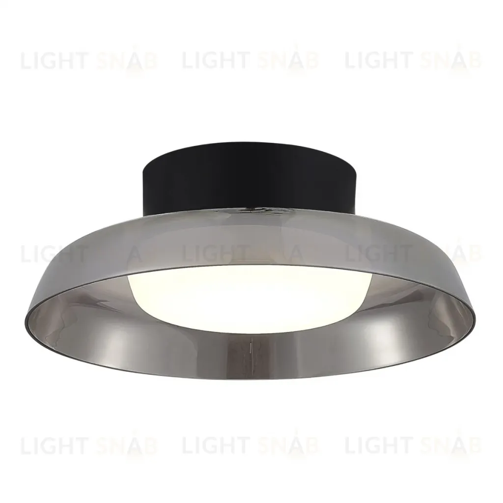 Потолочный светильник ST Luce Foray SL6019.412.01 SL6019.412.01