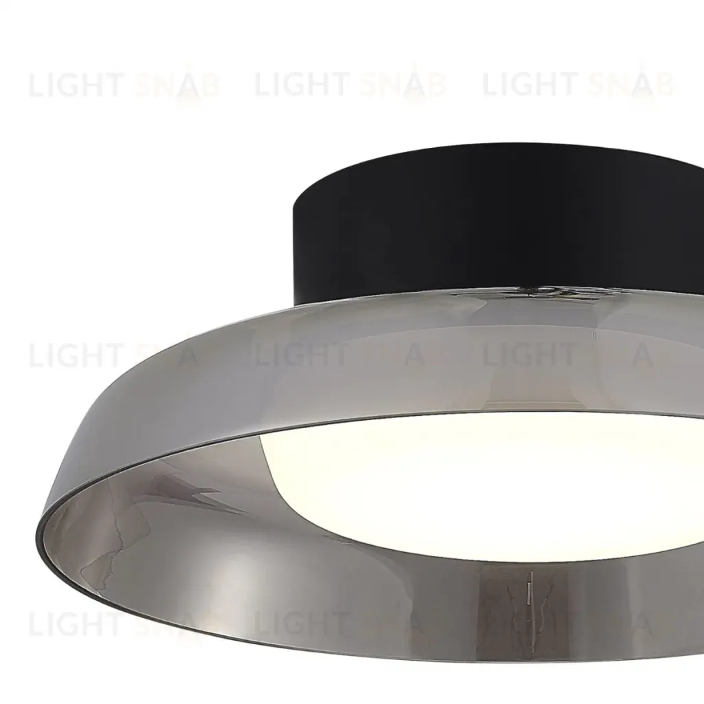 Потолочный светильник ST Luce Foray SL6019.412.01 SL6019.412.01