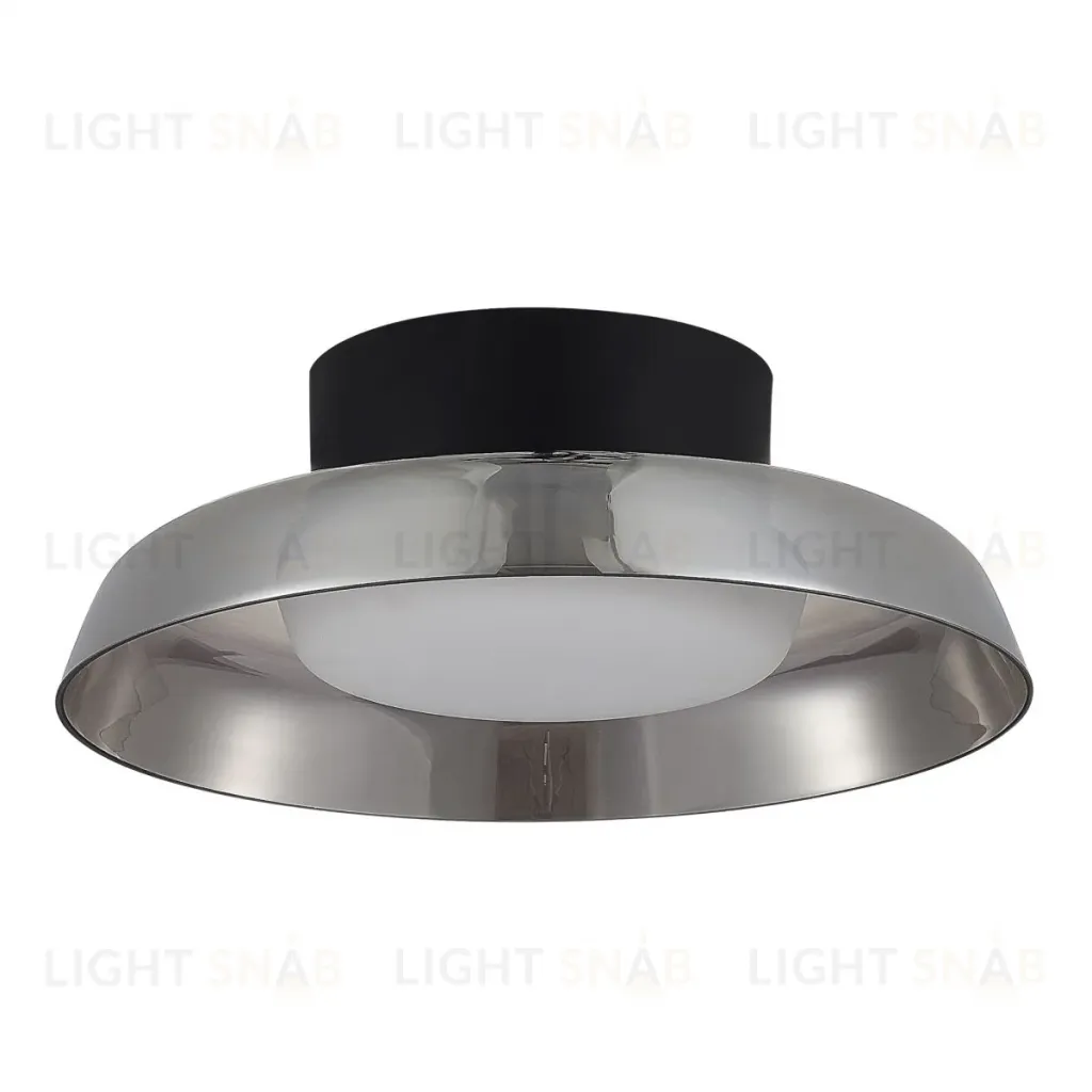 Потолочный светильник ST Luce Foray SL6019.412.01 SL6019.412.01