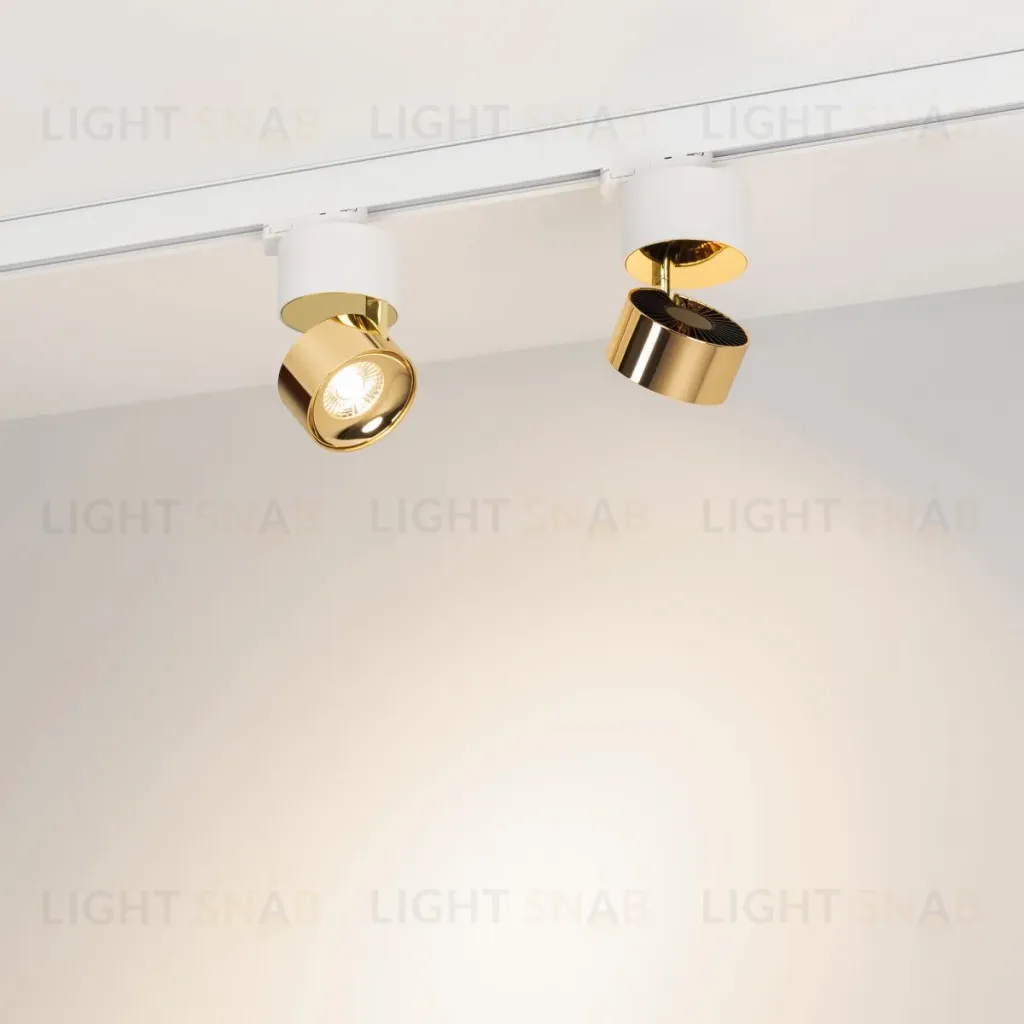 Трековый трехфазный светильник Arlight SP-PLURIO-TRACK-4TR-R77-9W Day4000 (WH-BRS, 36 deg, 230V) (IP20 Металл) 038100 038100