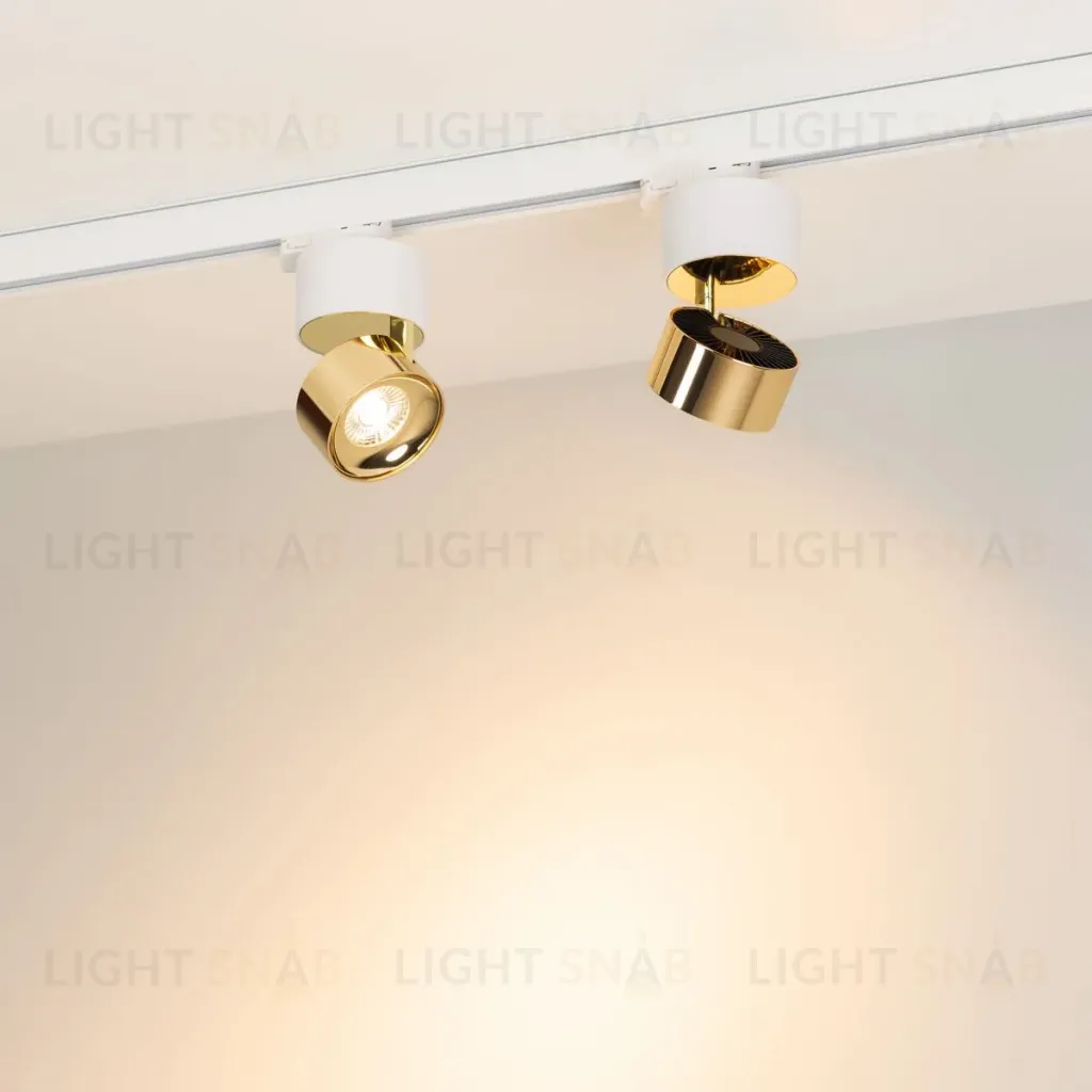 Трековый трехфазный светильник Arlight SP-PLURIO-TRACK-4TR-R77-9W Warm3000 (WH-BRS, 36 deg, 230V) (IP20 Металл) 038114 038114