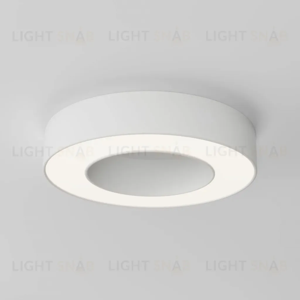 Потолочный светильник Maytoni Technical Lua C093CL-24W4K-W C093CL-24W4K-W