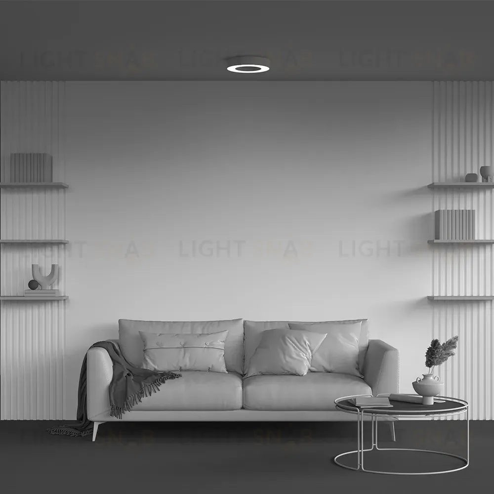 Потолочный светильник Maytoni Technical Lua C093CL-24W4K-W C093CL-24W4K-W