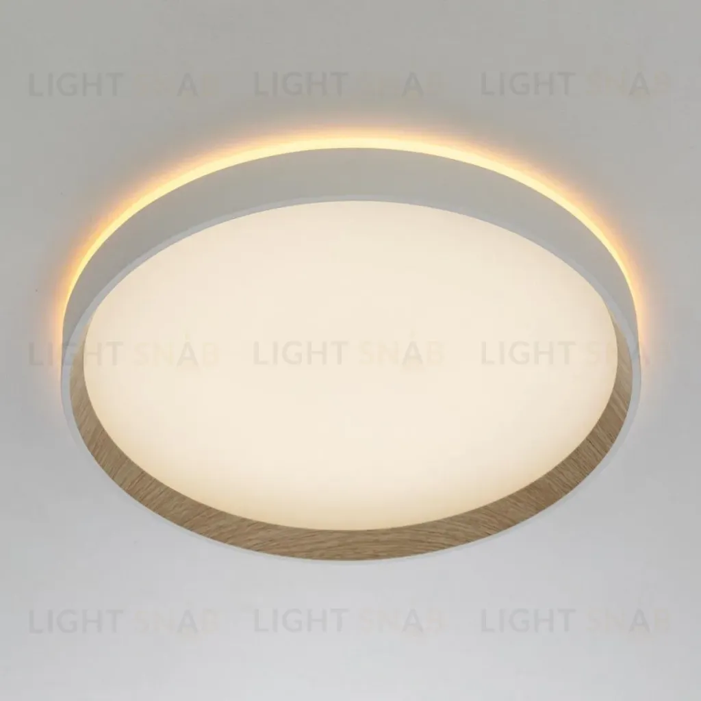 Накладной светильник Citilux Etalon CL750320R CL750320R