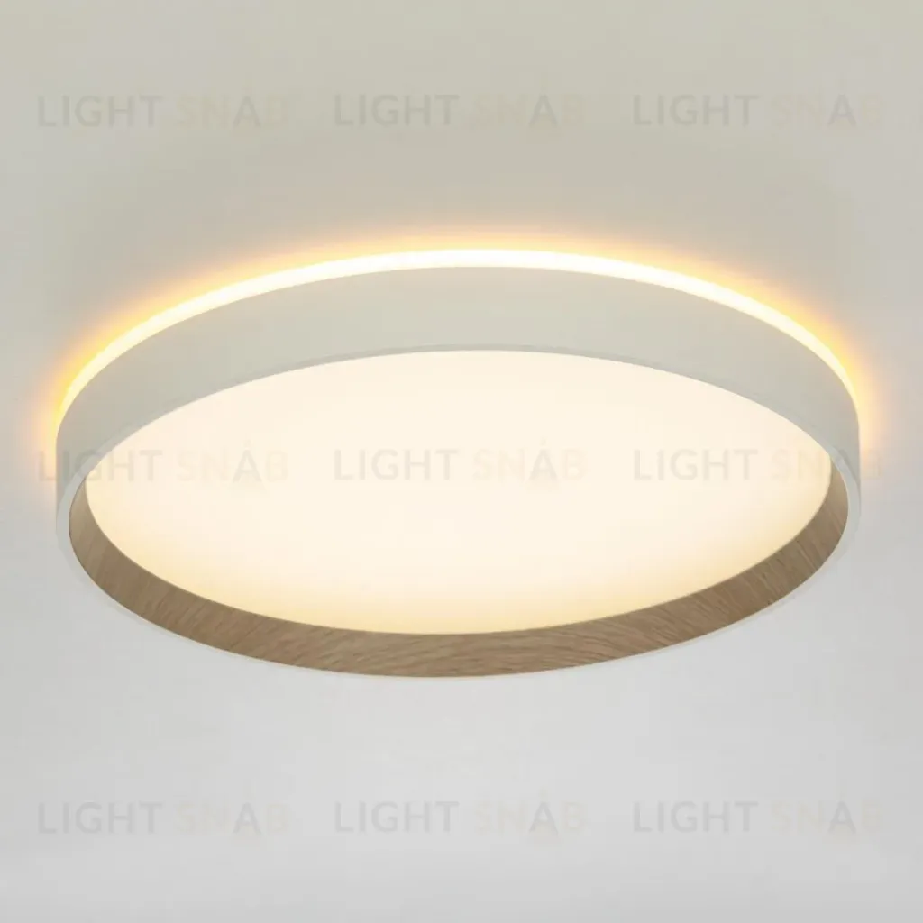 Накладной светильник Citilux Etalon CL750320R CL750320R