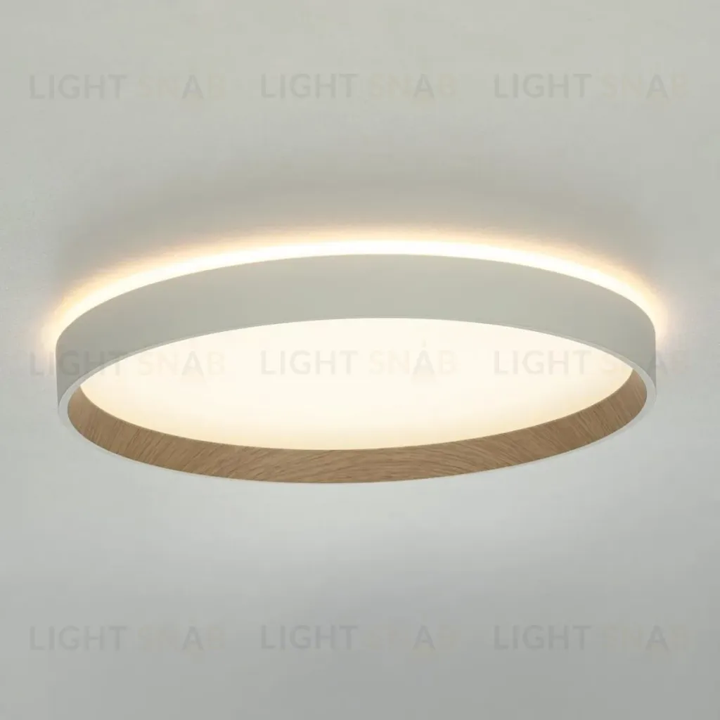 Накладной светильник Citilux Etalon CL750320R CL750320R