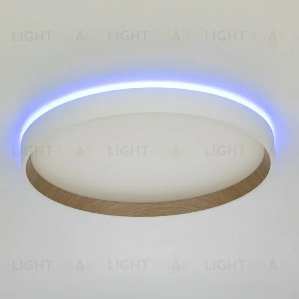 Накладной светильник Citilux Etalon CL750320R CL750320R