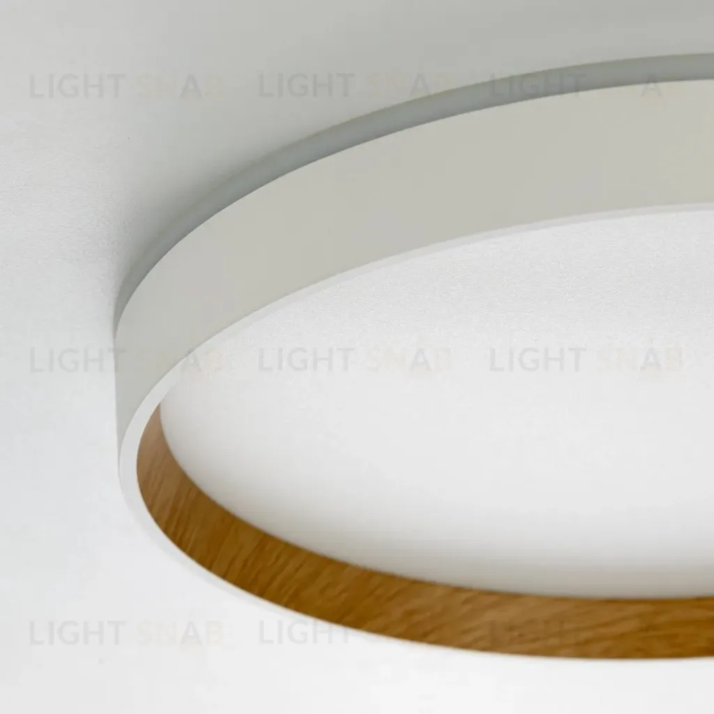Накладной светильник Citilux Etalon CL750320R CL750320R