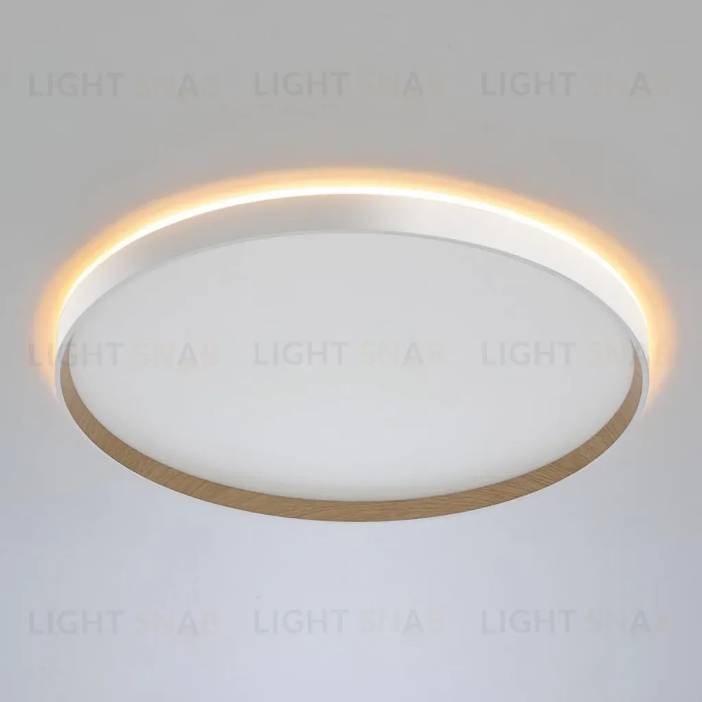 Накладной светильник Citilux Etalon CL750500R CL750500R