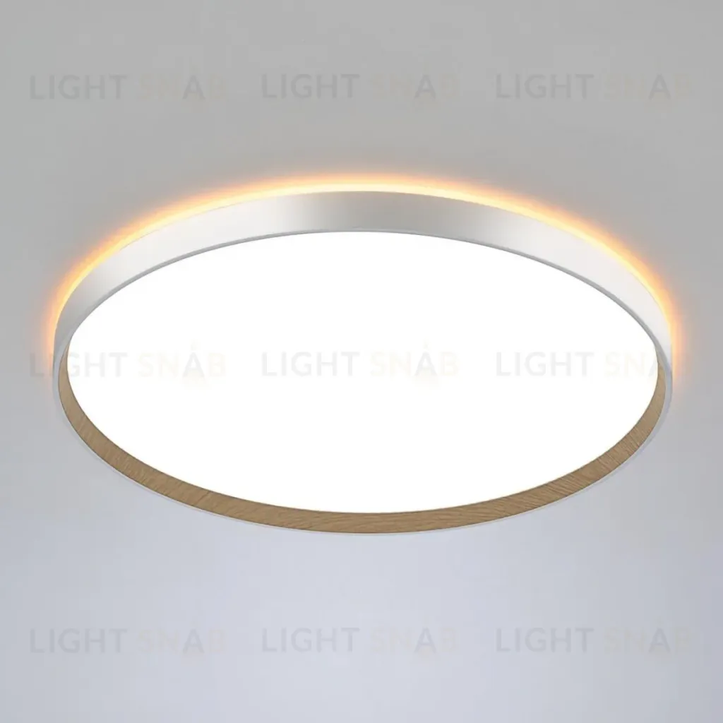 Накладной светильник Citilux Etalon CL750500R CL750500R