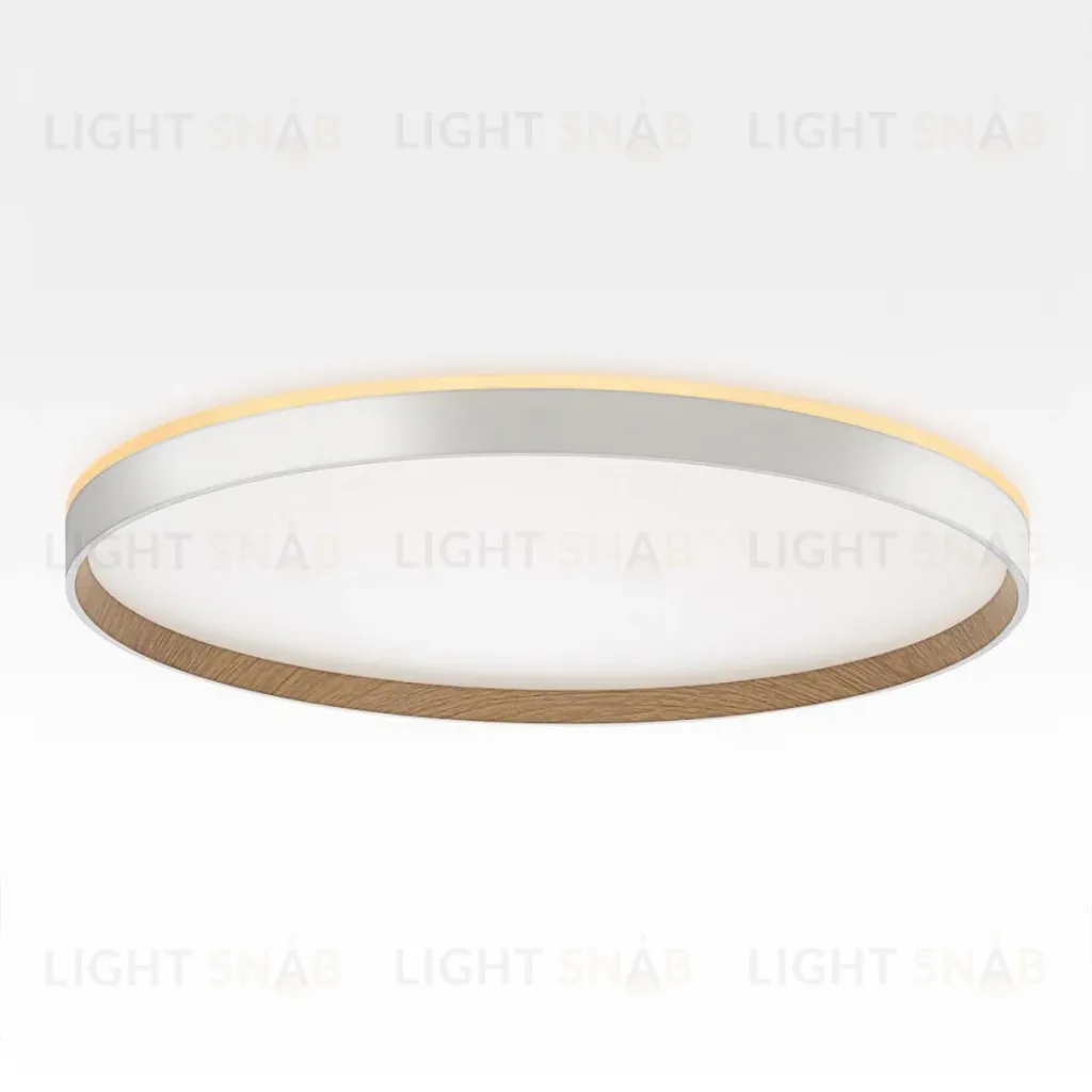 Накладной светильник Citilux Etalon CL750500R CL750500R