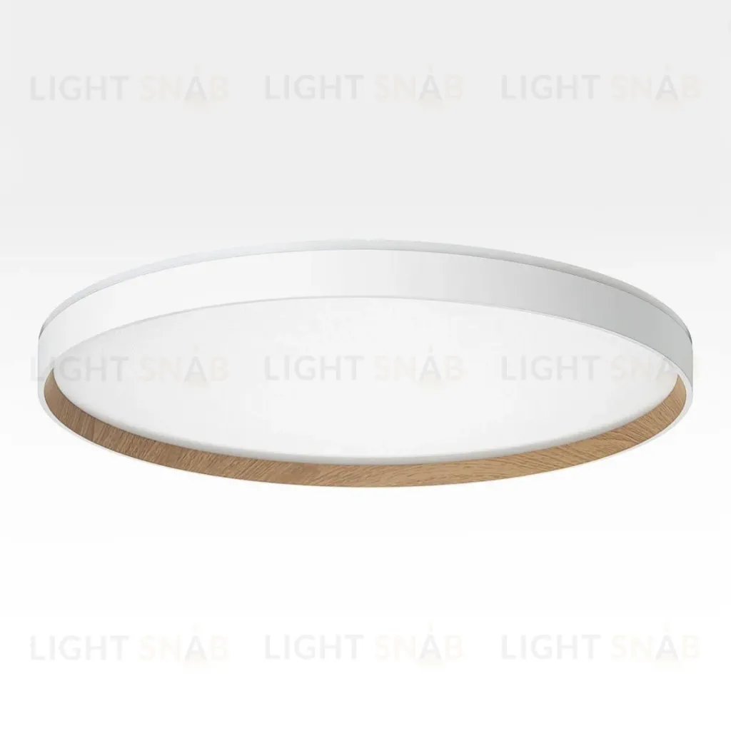 Накладной светильник Citilux Etalon CL750500R CL750500R