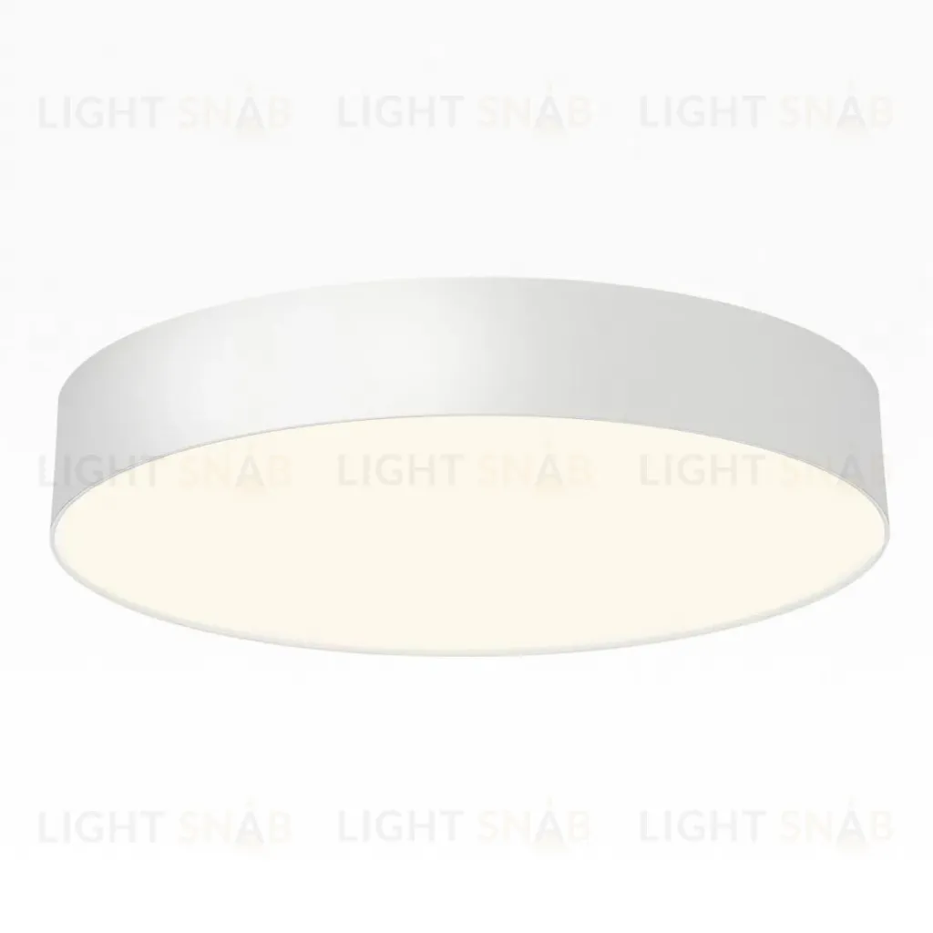 Накладной светильник Citilux Bart CL755390 CL755390