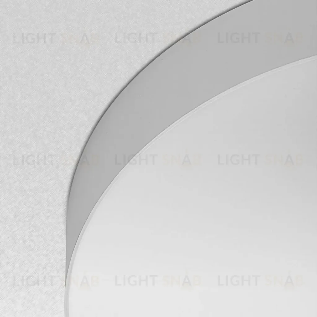 Накладной светильник Citilux Bart CL755390 CL755390