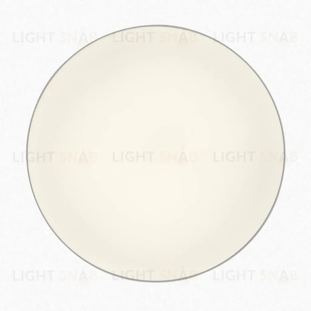 Накладной светильник Citilux Bart CL755390 CL755390