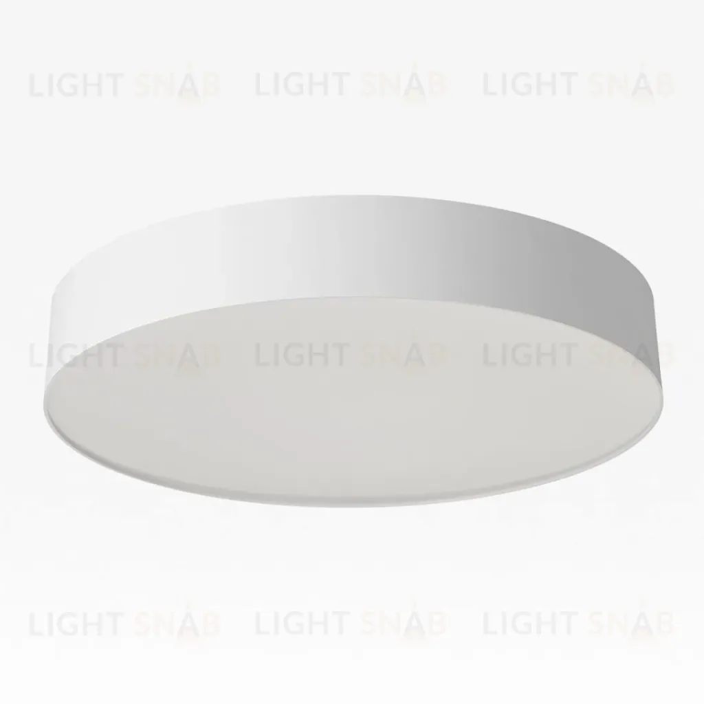 Накладной светильник Citilux Bart CL755390 CL755390