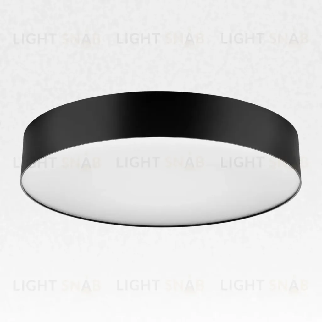 Накладной светильник Citilux Bart CL755391 CL755391