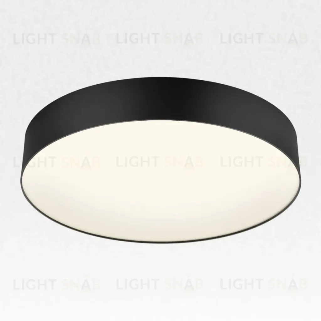 Накладной светильник Citilux Bart CL755391 CL755391