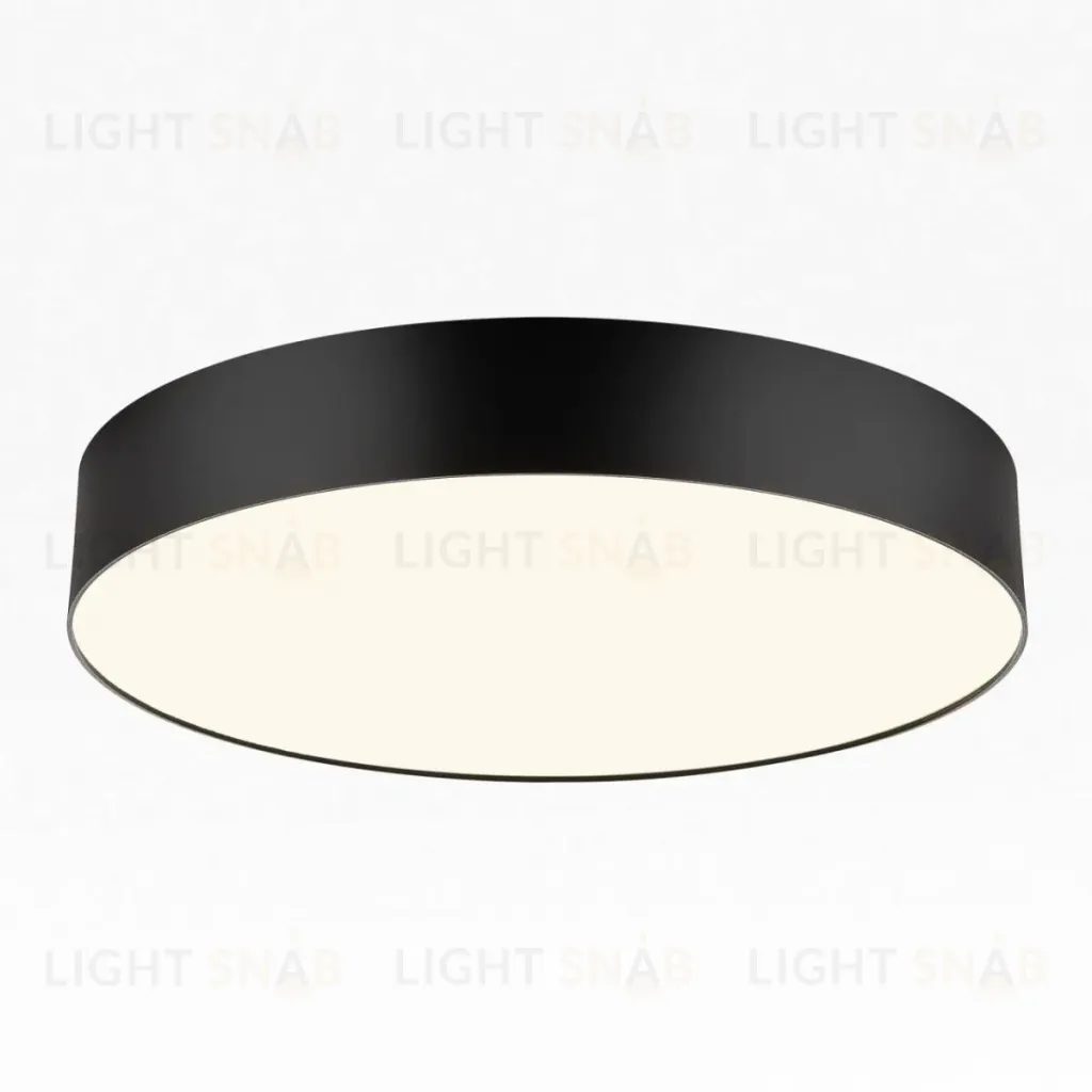 Накладной светильник Citilux Bart CL755391 CL755391