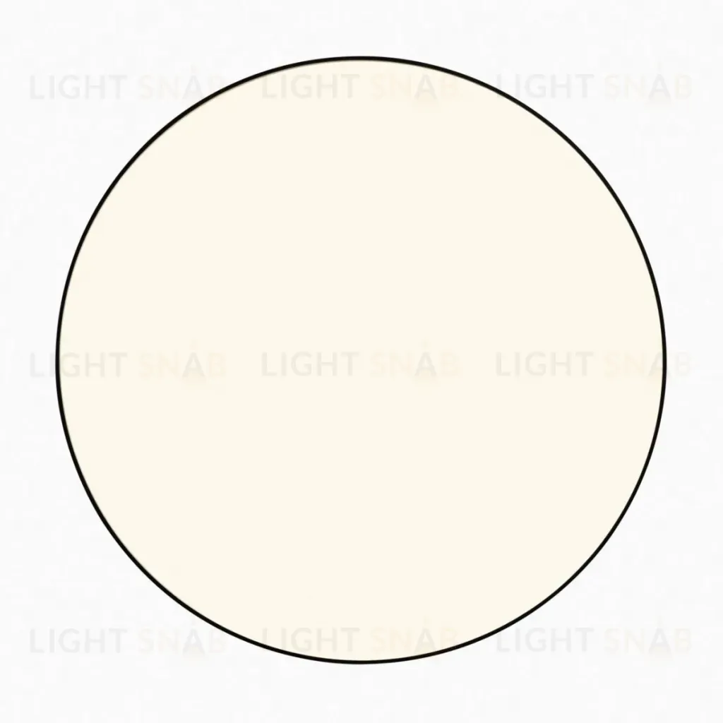 Накладной светильник Citilux Bart CL755391 CL755391