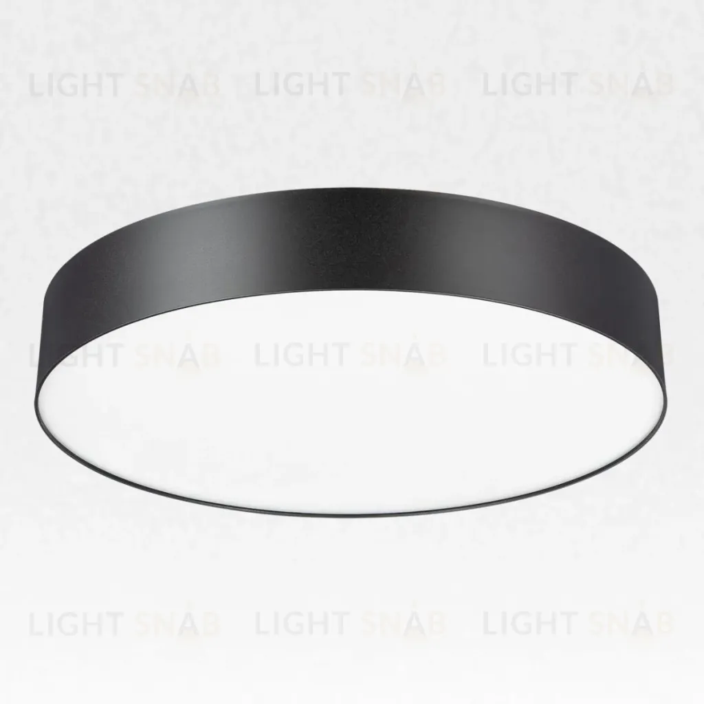 Накладной светильник Citilux Bart CL755391 CL755391