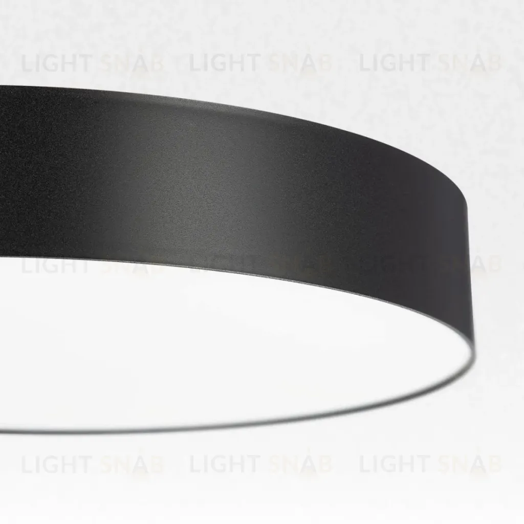 Накладной светильник Citilux Bart CL755391 CL755391