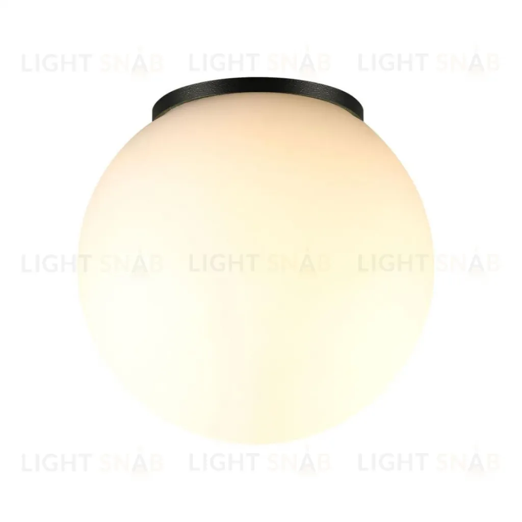 Уличный потолочный светильник Odeon Light Nature Viva 7124/1C 7124/1C